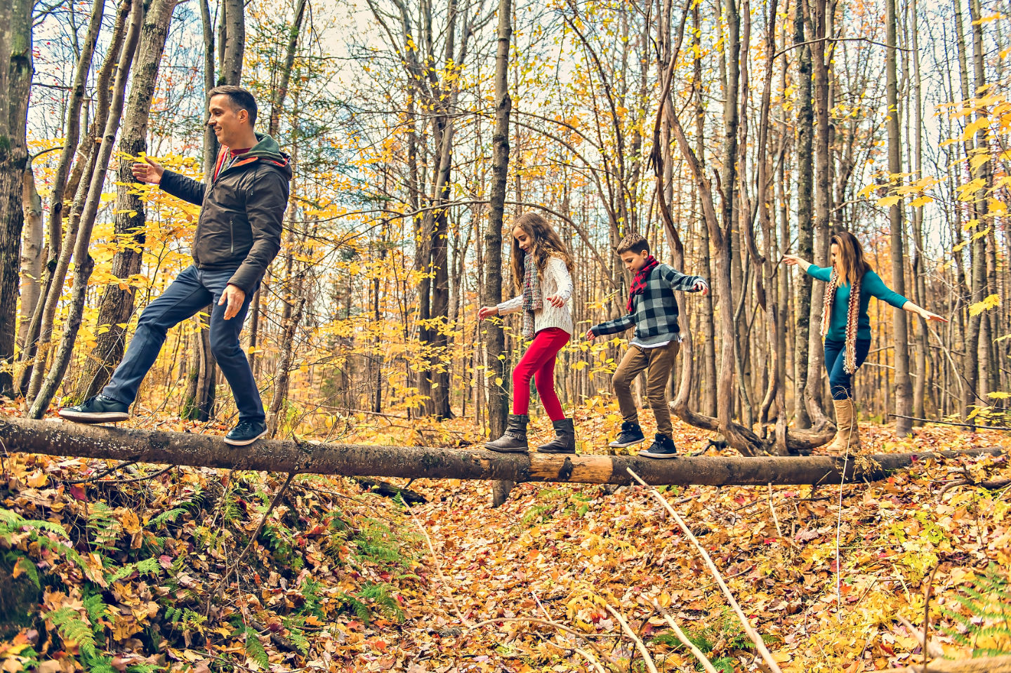 Family walking across a log